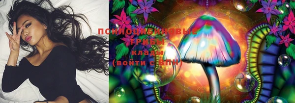 тгк Алзамай
