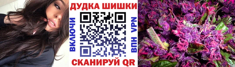 Каннабис Amnesia  Пошехонье 